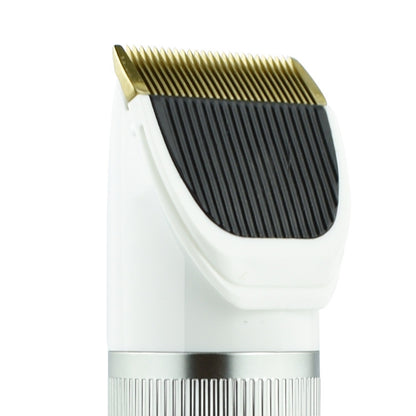 Q6 เครื่องโกนหนวดไฟฟ้าสำหรับชาร์จ USB พร้อมหวีสี่อัน, Q6 Shaver