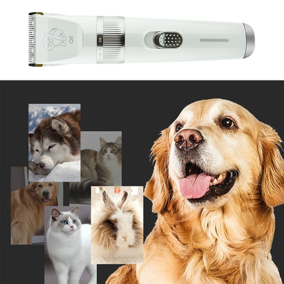 Q6 เครื่องโกนหนวดไฟฟ้าสำหรับชาร์จ USB พร้อมหวีสี่อัน, Q6 Shaver