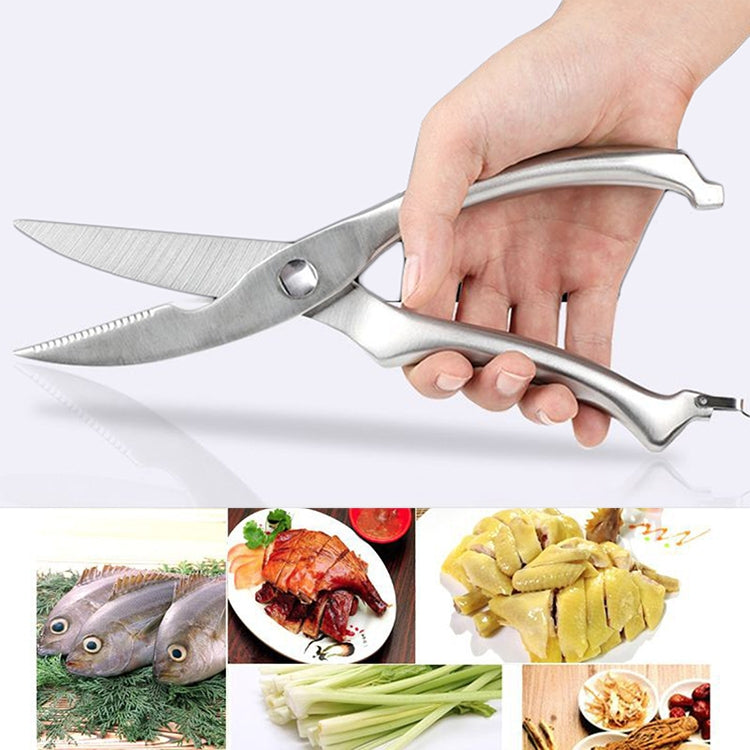 10 นิ้วครัวสัตว์ปีกปลาไก่เครื่องตัดสแตนเลส Cook Gadget เฉือน, BLISTER Package, Blister Package