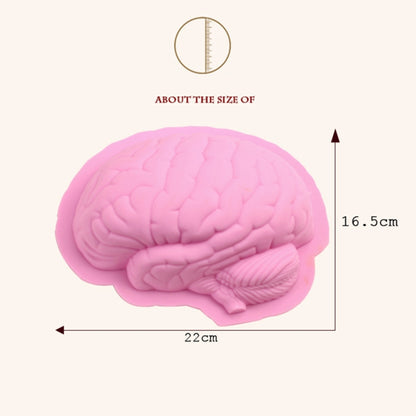 สมองมนุษย์รูปร่างซิลิโคนเบเกอรี่แม่พิมพ์เค้กฮาโลวีนพุดดิ้งแม่พิมพ์ขนม, Brain Shape