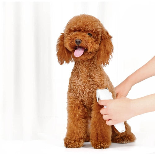 Original Xiaomi Youpin Pawbby สุนัขมีดโกนมืออาชีพ Pet Grooming Clippers ไฟฟ้าแบบชาร์จไฟได้ความปลอดภัยเครื่องตัดผม, Pawbby Dog Professional Razor