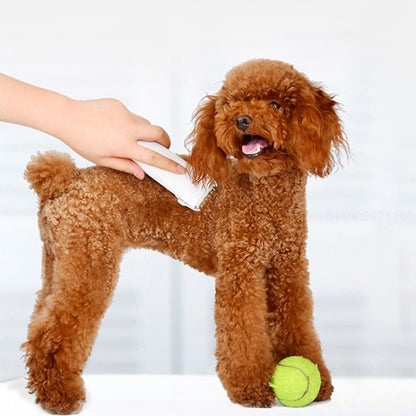 Original Xiaomi Youpin Pawbby สุนัขมีดโกนมืออาชีพ Pet Grooming Clippers ไฟฟ้าแบบชาร์จไฟได้ความปลอดภัยเครื่องตัดผม, Pawbby Dog Professional Razor