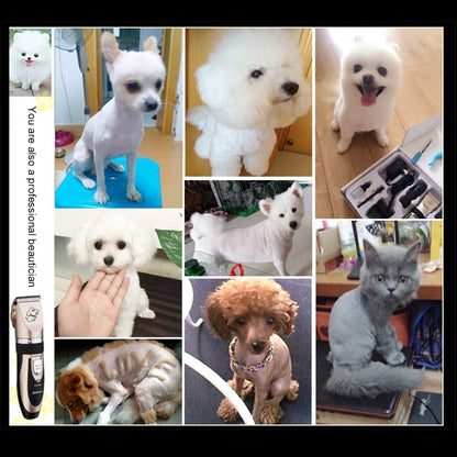 P2 110-240V เซรามิคไทเทเนียมมืออาชีพสัตว์เลี้ยงกรรไกรไฟฟ้าสัตว์เลี้ยงผม Clippers สี่หวี, Ceramics Titanium Scissors