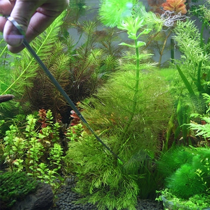 3 in 1 สแตนเลสกรรไกร, แหนบและคลิป, ต้นไม้หญ้า Miniatures Aquarium Fish Tank Landscape Trim เครื่องมือ, 3 PCS