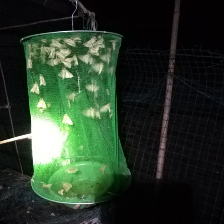 3 ชิ้นพับแขวนอัตโนมัติ Fly Hunter, Induced Fly Cage, Fly Cage