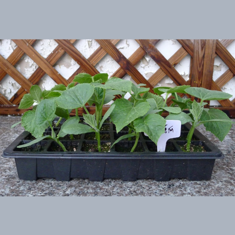 ถาดต้นกล้าSproutแผ่น 24 หลุมNursery Potsถาดฝาปิดสำหรับสวนบอนไซเรือนกระจกขนาดเล็กเนอสเซอรี่แผ่นสามชุด, 2 PCS