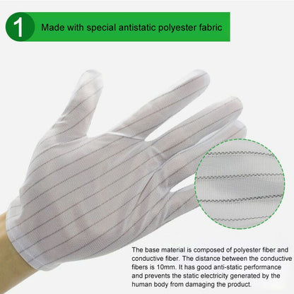 ถุงมือพลาสติกลายทางป้องกันไฟฟ้าสถิตย์ 10 คู่ ขนาด：ฟรีไซส์, Plastic Gloves