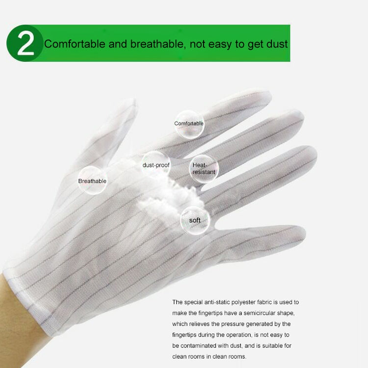ถุงมือพลาสติกลายทางป้องกันไฟฟ้าสถิตย์ 10 คู่ ขนาด：ฟรีไซส์, Plastic Gloves