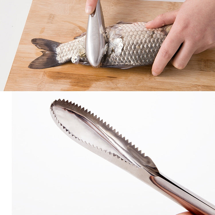 ห้องครัว Essential สแตนเลสแบบสองทิศทางฟันเลื่อยปลา Scraper ปลา Planing มีด, 22.5x3cm
