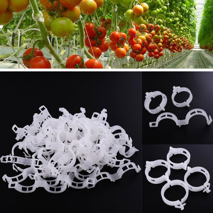 500 ชิ้น 25 มิลลิเมตรพลาสติก Tie คลิปแขวน Crane โฟลเดอร์ Vines พืชคลิปถาวร, 500 PCS