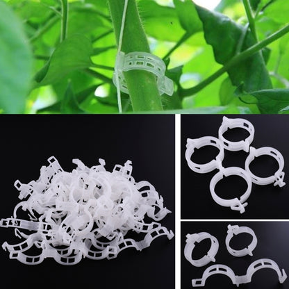 500 ชิ้น 25 มิลลิเมตรพลาสติก Tie คลิปแขวน Crane โฟลเดอร์ Vines พืชคลิปถาวร, 500 PCS