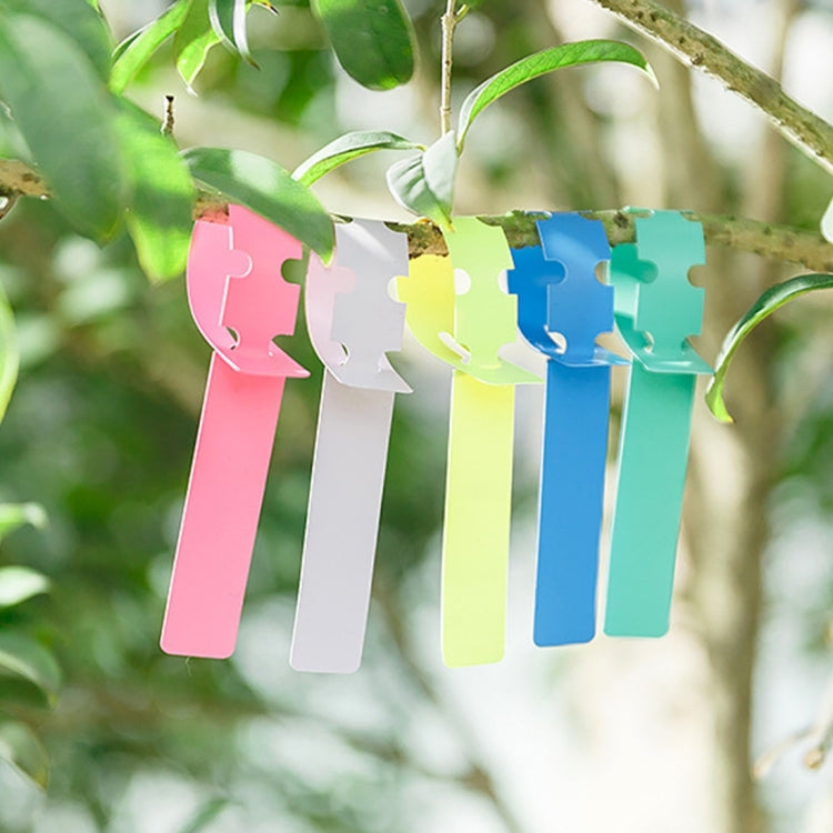 50 ชิ้นป้ายกันน้ำดอกไม้ป้ายพืชป้ายสวนการจัดส่งสีแบบสุ่ม, Plant Label 2