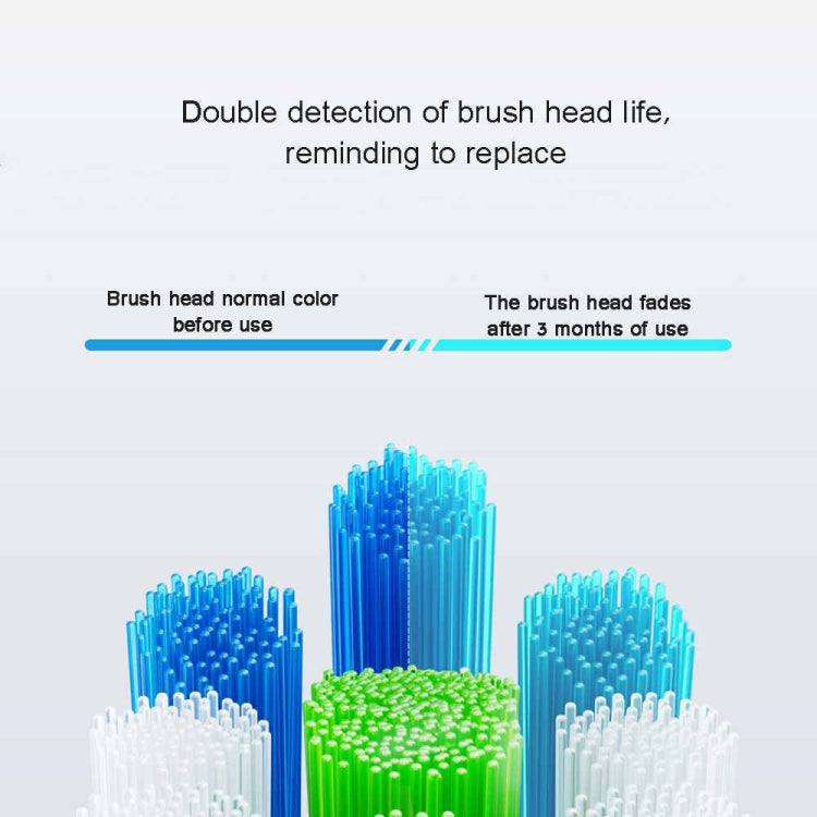 HUAWEI Lebooo LBS-T053A 2 ชิ้น หัวแปรงสีฟันอัจฉริยะ (สำหรับ HCB0001), LBS-T053A Toothbrush Head (Black), LBS-T053A Toothbrush Head (White)