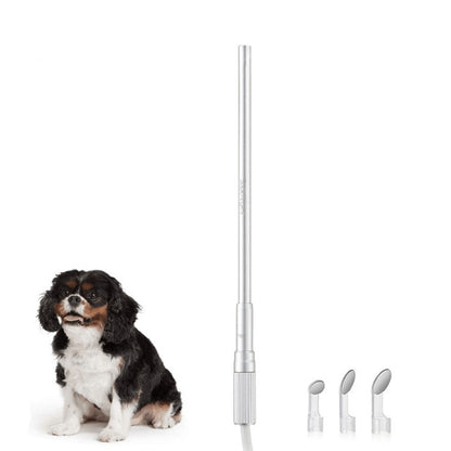 Supereyes Y003 สัตว์เลี้ยงหูช่องจมูกโพรงกันน้ำอิเล็กทรอนิกส์ดิจิตอลEndoscope, Y003