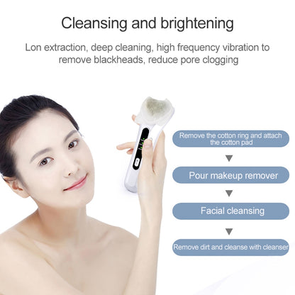 BLK-D020 Ion นำเข้าและส่งออกเครื่องมือความงามนวดหน้าเครื่องทำความร้อนการสั่นสะเทือน Ffacial Skin Care Instrument