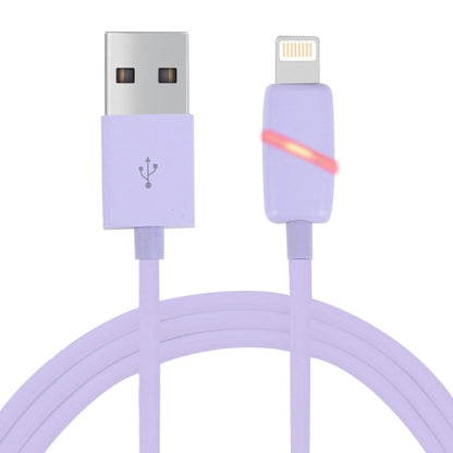 กล่องของขวัญกระสวยทรงกลม 1 ม. สไตล์ 8 พินเข้ากับสายซิงค์ข้อมูล USB พร้อมไฟแสดงสถานะสำหรับ iPhone, iPad