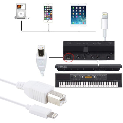 1m 8 Pin to Type-B เปียโนชาย/เปียโนอิเล็กทรอนิกส์สาย MIDI สายเคเบิลอะแดปเตอร์, 8 Pin