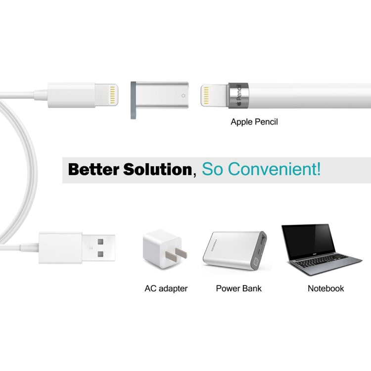 อะแดปเตอร์เครื่องชาร์จ Apple Pencil ของ Apple Shell อะลูมิเนียมสำหรับ iPad Pro