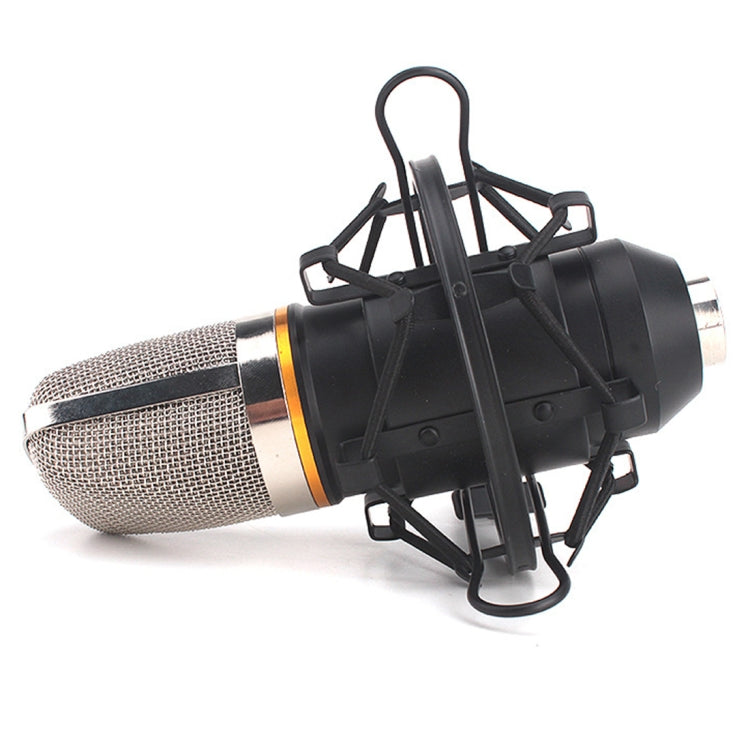 สำหรับการบันทึกในสตูดิโอ, การถ่ายทอดสด, การแสดงสด, KTV ฯลฯ, Shock Holder
