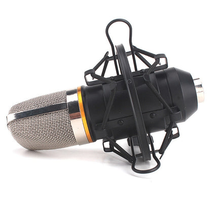 สำหรับการบันทึกในสตูดิโอ, การถ่ายทอดสด, การแสดงสด, KTV ฯลฯ, Shock Holder