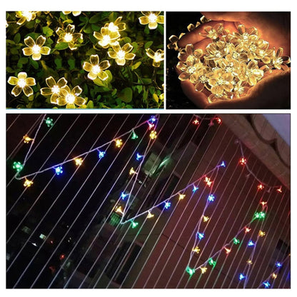 ไฟ LED 3 เมตร 20 ดวง Cherry Blossom Holiday ใช้พลังงานจากแบตเตอรี่, 3m Colorful Light, 3m Warm White Light