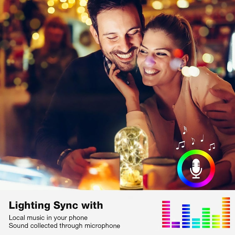 ตกแต่งคริสต์มาส RGB สายไฟทองแดงสายไฟควบคุมแอพมือถือ Bluetooth ความยาว: 10 ม. 100 LEDs, 10m 100 LEDs