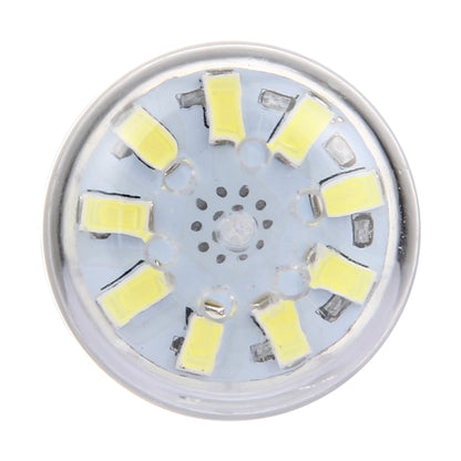หลอด LED SMD 5730 69 ดวง กระแสไฟ AC 220V, 5.5W 220V White Light, 5.5W 220V Warm White