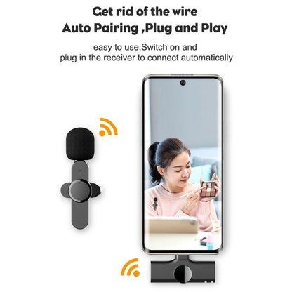 อินเทอร์เฟซ Type-C / USB-C ไมโครโฟนแบบหนีบเสื้อไร้สายถ่ายทอดสด, Type-C