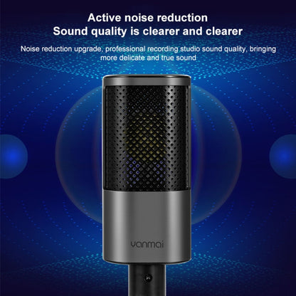 Yanmai X2 Active Noise Reduction Cardioid Pointing Capacitive Recording Microphone Set พร้อม Blowout Net & Cantilever Bracket & 1.7m 3.5mm Interface Cable, X2