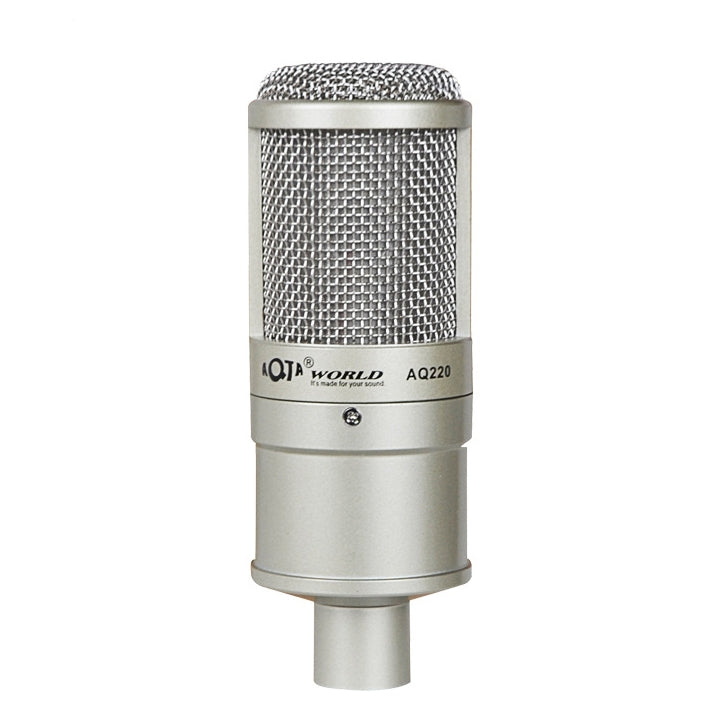 AQ-220 K เพลงสดการบันทึกไมโครโฟนตัวเก็บประจุลดเสียงรบกวน