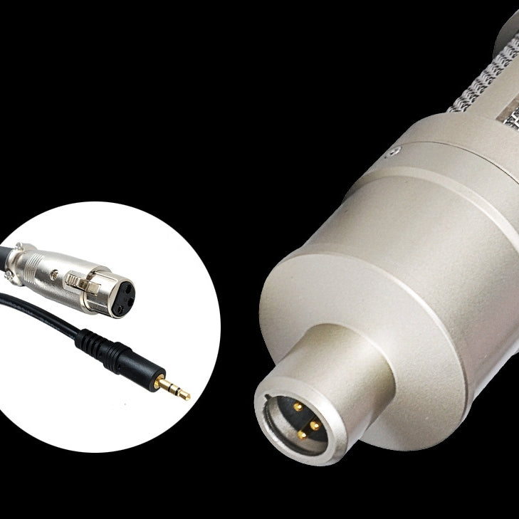 AQ-220 K เพลงสดการบันทึกไมโครโฟนตัวเก็บประจุลดเสียงรบกวน