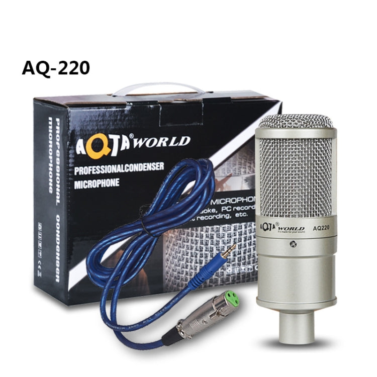 AQ-220 K เพลงสดการบันทึกไมโครโฟนตัวเก็บประจุลดเสียงรบกวน