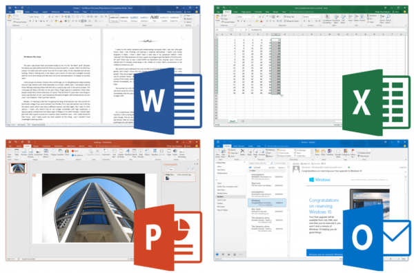 Microsoft Office 2019 Professional Plus Multilingual