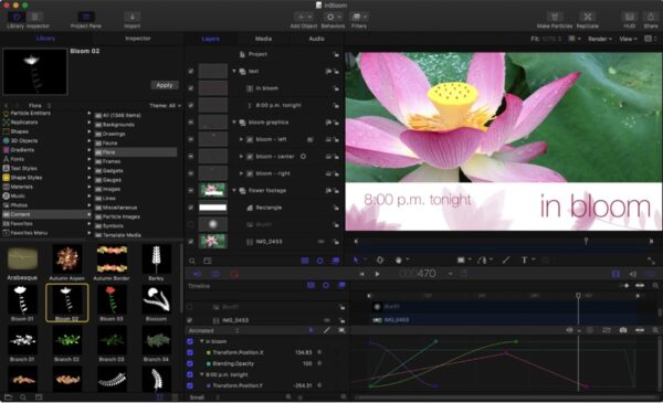 Motion 5.6 (2021) Final Full Version for MacOS