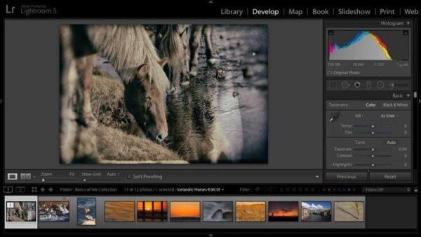 Nik Collection 4 by DxO 2021 v4.2.0 Final MacOS