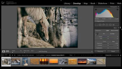 Nik Collection 4 by DxO 2021 v4.2.0 Final MacOS
