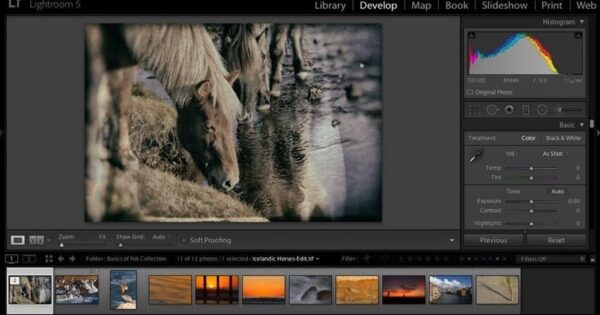 Nik Collection by DxO 2021 v4.2 Final Full Version for Windows