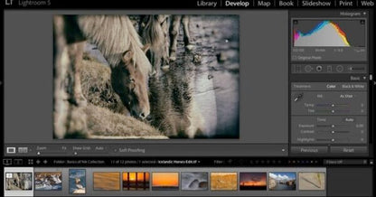 Nik Collection by DxO 2021 v4.2 Final Full Version for Windows