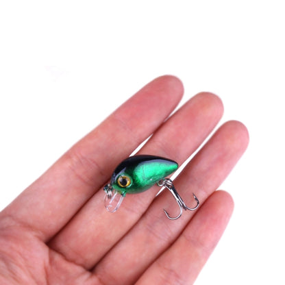 HENGJIA 10 ชิ้น 3cm / 1.5g Luya Rock ประมง เหยื่อล่อ Bionic ชุด พร้อมกล่องพลาสติก, Box014