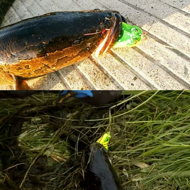 HENGJIA 5 ชิ้นเหยื่ออ่อนเหยื่อตกปลาเหยื่อเรย์กบเหยื่อพร้อมกล่องพลาสติก, Soft Baits Water-hit Fishing
