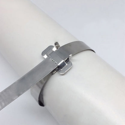100 ชิ้น 12.7 มิลลิเมตร 304 สแตนเลสสตีลล็อคประเภทสายห่อ Bundle Buckle, 12.7mm