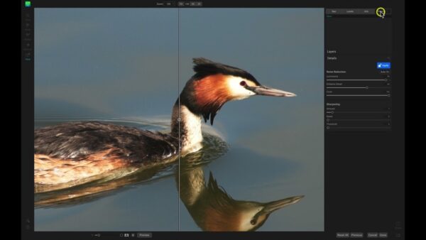 ON1 NoNoise AI 2022 Full Version Multilingual for MacOS