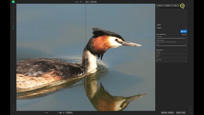 ON1 NoNoise AI 2022 Full Version Multilingual for MacOS