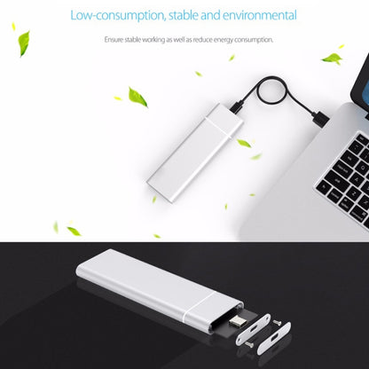 M.2 NGFF เป็น USB-C / Type-C USB 3.1 อินเทอร์เฟซอลูมิเนียมอัลลอยด์ SSD, NGFF to USB Type-C Silver, NGFF to USB Type-C Black