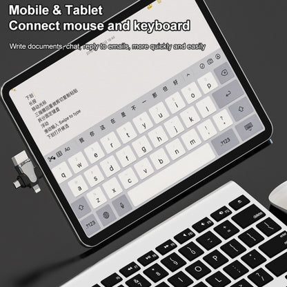 อะแดปเตอร์ 3 ใน 1 OTG, USB to Type-C / Micro USB / 8 Pin