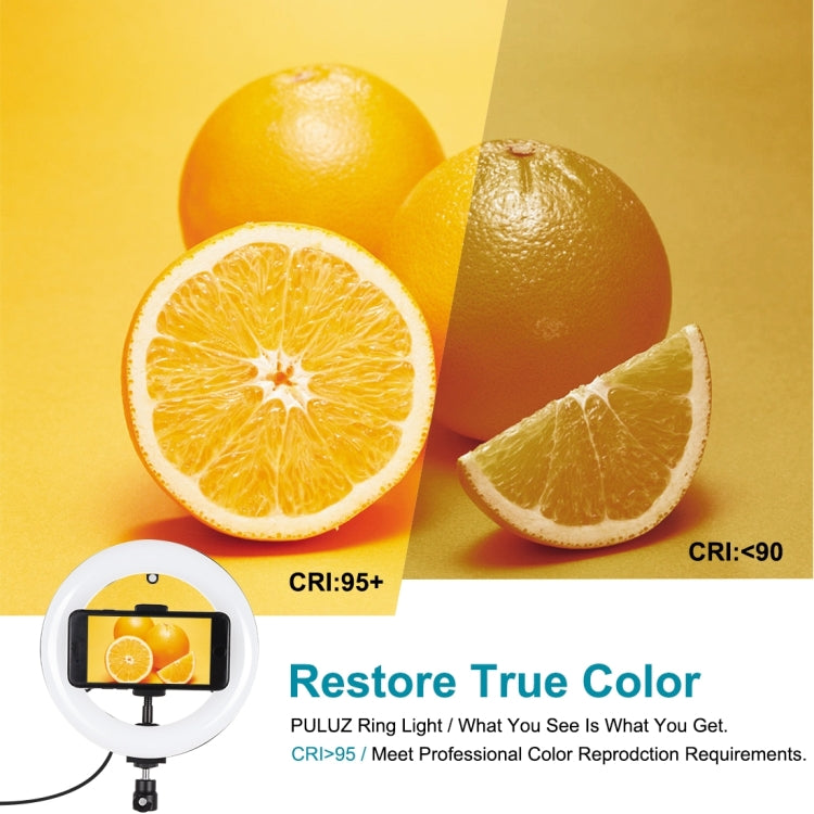 PULUZ 7.9 นิ้ว 20 ซม. กระจกเงา + ฐานกลมสก์ท็อปเมา 3 โหมดหรี่แสงได้อุณหภูมิสีคู่ LED โค้งแสงแหวนวิดีโอบล็อกเซลฟีการถ่ายภาพไฟวิดีโอพร้อมแคลมป์โทรศัพท์, 7.9 inch+Desktop Mount+Mirror
