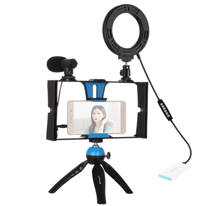 PULUZ 4 in 1 Vlogging ถ่ายทอดสดสมาร์ทโฟนวิดีโอ Rig + 4.7 นิ้ว 12 ซม. RGBW แหวน LED เซลฟี่แสง + ไมโครโฟน + กระเป๋าชุดติดตั้งขาตั้งกล้องพร้อมหัวขาตั้งกล้องรองเท้าเย็น, 4-in-1, 4-in-1 RGBW Ring LED