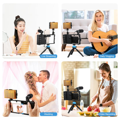 PULUZ 4 ใน 1 บลูทูธมือถือ Vlogging ถ่ายทอดสด LED เซลฟีแสงสมาร์ทโฟนวิดีโอ Rig ชุดพร้อมไมโครโฟน + ขาตั้งกล้อง + Cold Shoe ขาตั้งกล้องสำหรับ iPhone, Galaxy, Huawei, Xiaomi, HTC, LG, Google และสมาร์ทโฟนอื่นๆ, 4 in 1 Bluetooth Rig