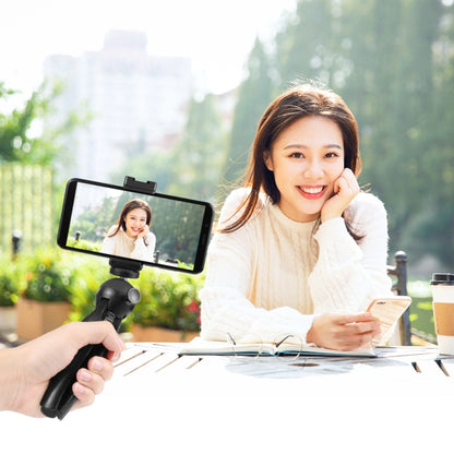 PULUZ ถ่ายทอดสดสมาร์ทโฟนวิดีโอไฟชุด Vlogger พร้อมไฟ LED + ขาตั้งกล้อง + ที่ยึดโทรศัพท์, LED + Tripod + lamp