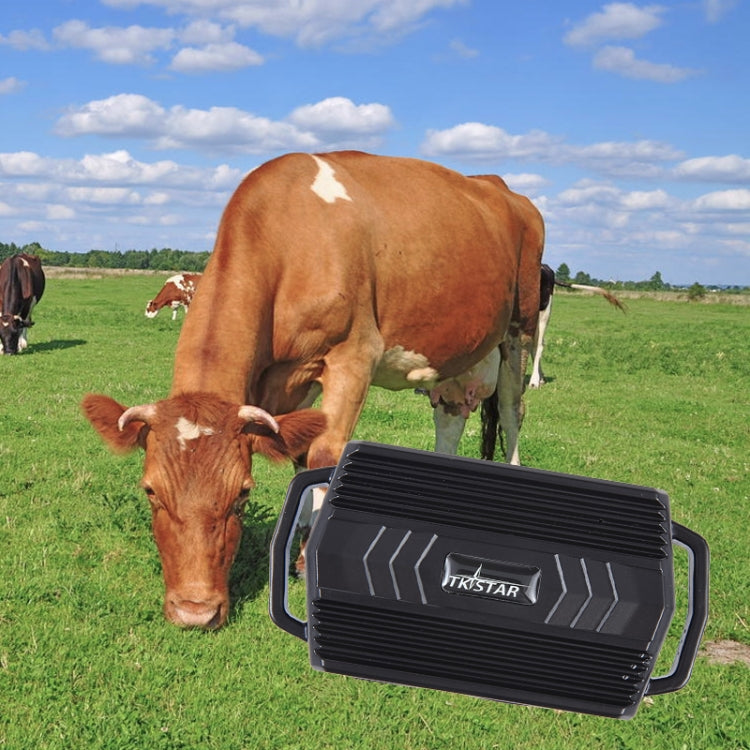 TKSTAR TK935 3000mAh GPS สัตว์เลี้ยงปศุสัตว์รถติดตามตำแหน่งกันน้ำ, TK935